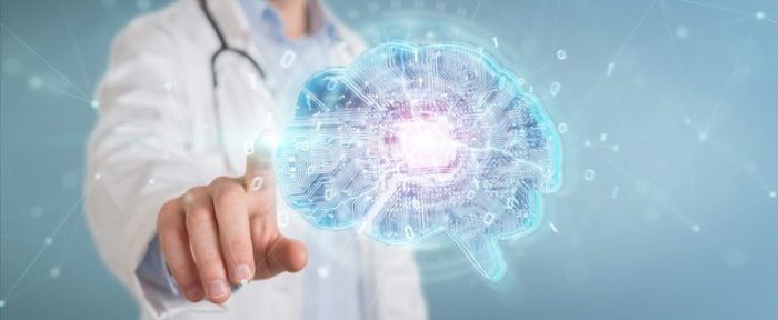 Mastering Neuroanatomy Part 3
